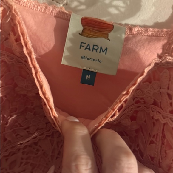 FARM Rio Pink Embellished Bustier corser giupure lace Top - Picture 4 of 5